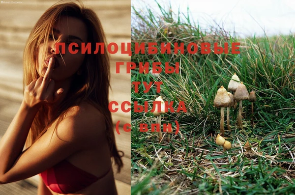 MESCALINE Арсеньев