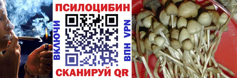 Псилоцибиновые грибы Psilocybe  Собинка 
